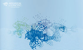 Aquarium of the Pacific Illustrations